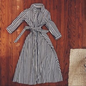 ZARA Blue & White Collared Buttoned Down Dress